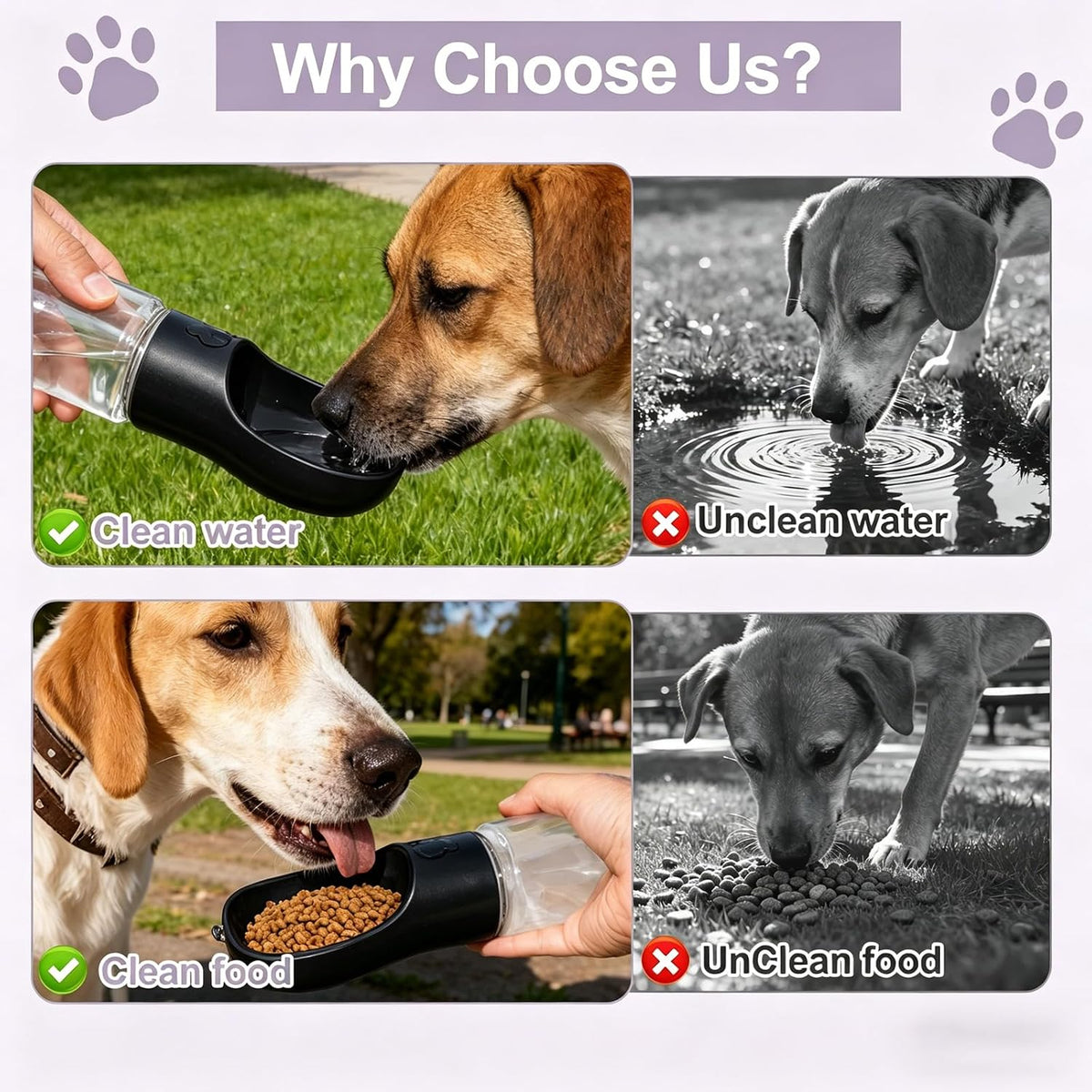 Paw Velour 2-in-1 Portable Dog Water Bottle & Food Container