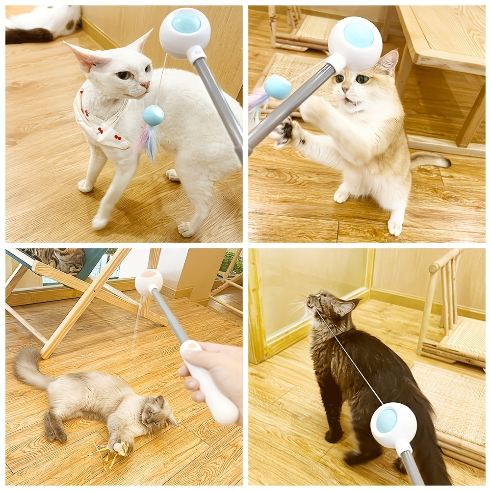 Cat playing with feather wand toy usage shots