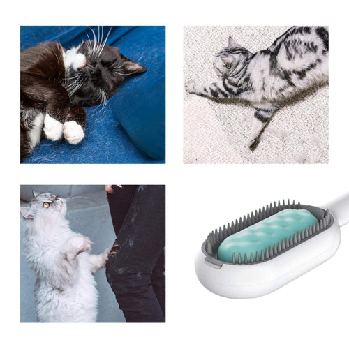 Cats enjoying grooming with the Paw Velour 4-in-1 pet brush, close-up of soft silicone bristles
