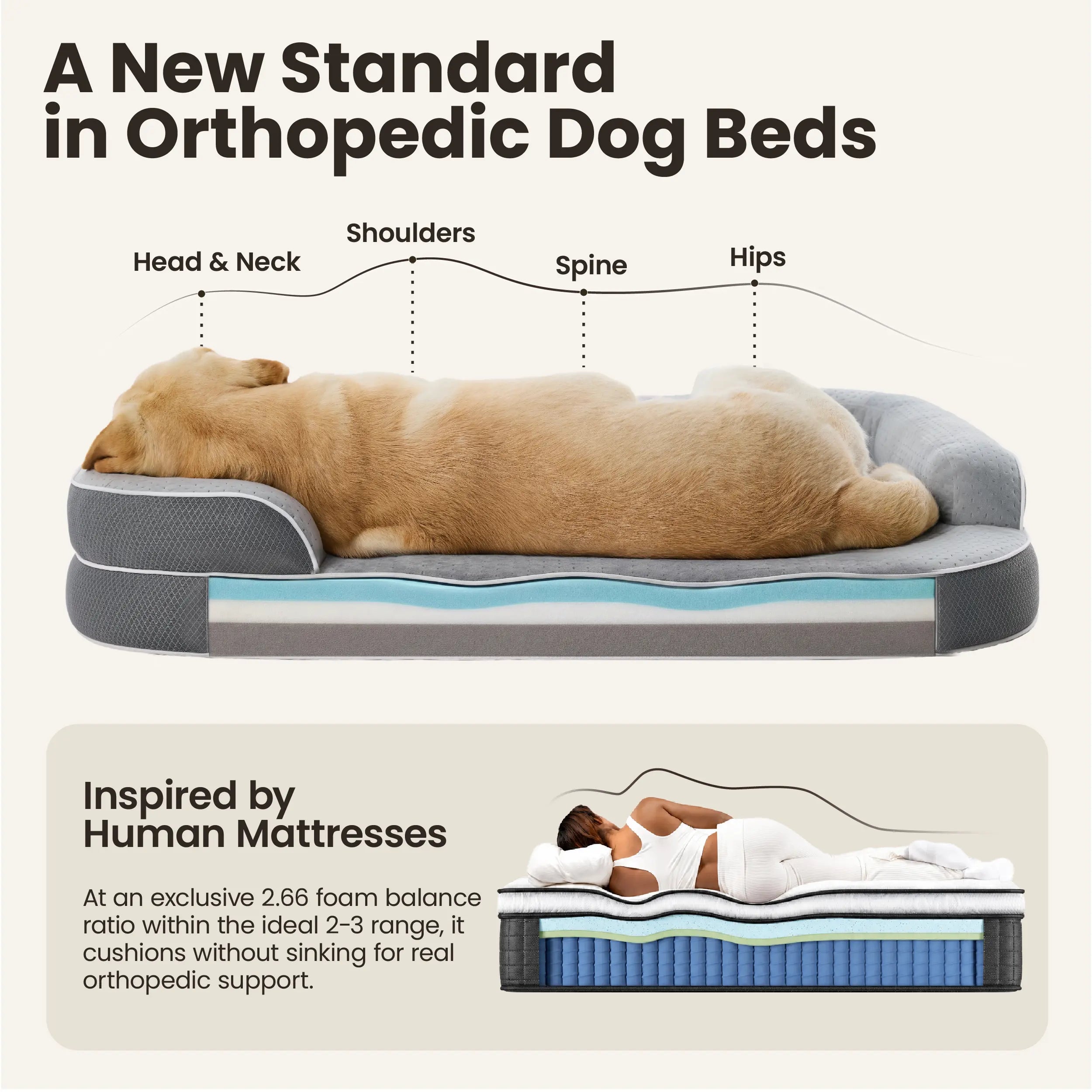 Lesure Realortho Orthopedic Dog Bed - Joint Protection for Large & Senior Dogs,Premium Memory Foam Orthopedic Bed for Senior Joint Support with Waterproof Washable Cover, Comfort Couch Sofa for Deep Sleep