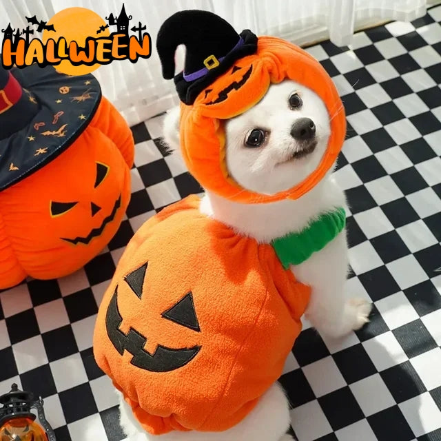 Paw Velour pumpkin pet costume, front view