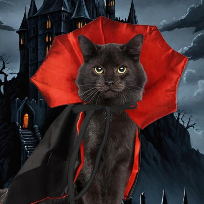 Paw Velour vampire cloak pet costume on a dog