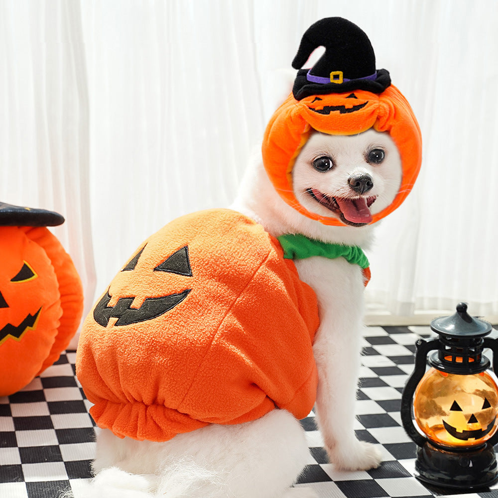 Paw Velour pumpkin pet costume, close-up detail