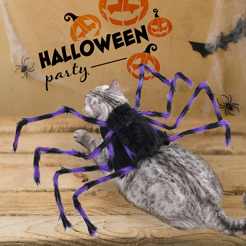 Paw Velour spooky spider pet costume, front view