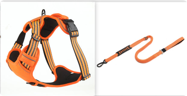 no-pull-harness flat lay with leash