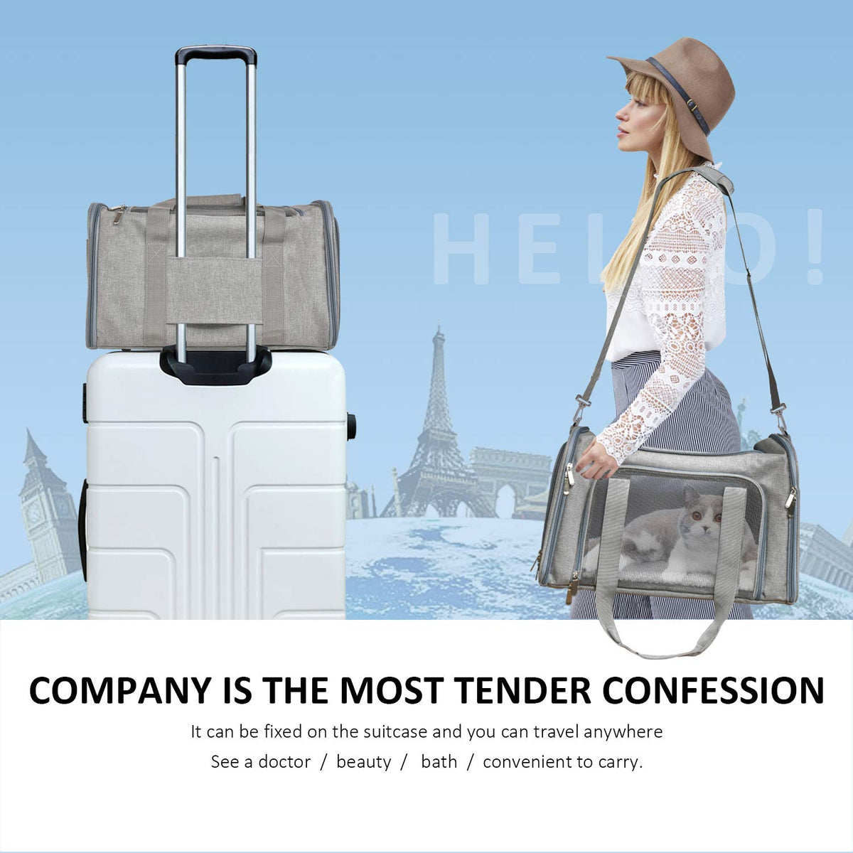 Pet carrier travel lifestyle shot