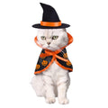 Paw Velour pumpkin witch hat and cape pet costume set