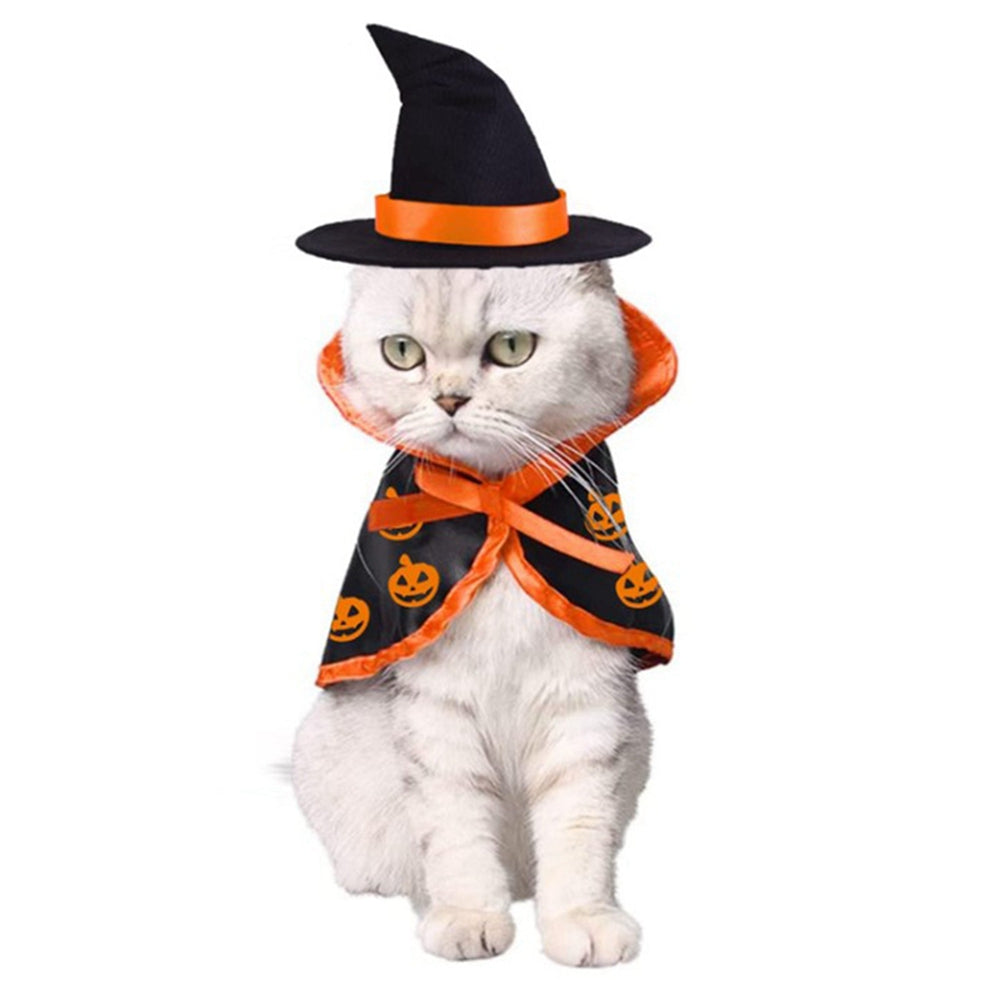 Paw Velour pumpkin witch hat and cape pet costume set