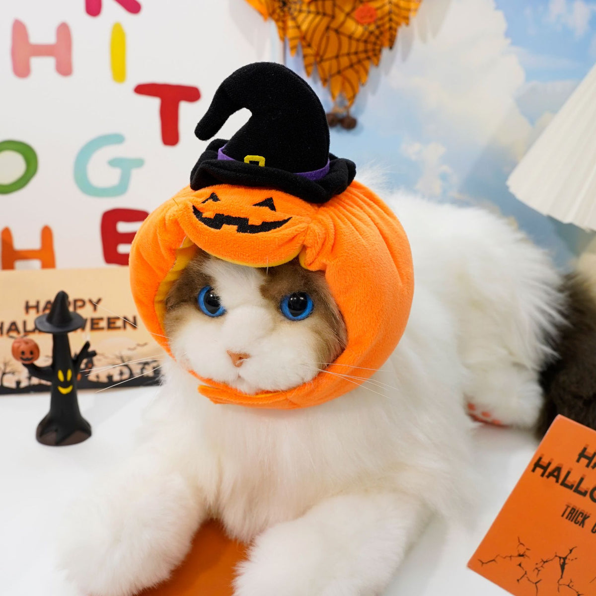 Paw Velour pumpkin pet costume on a dog