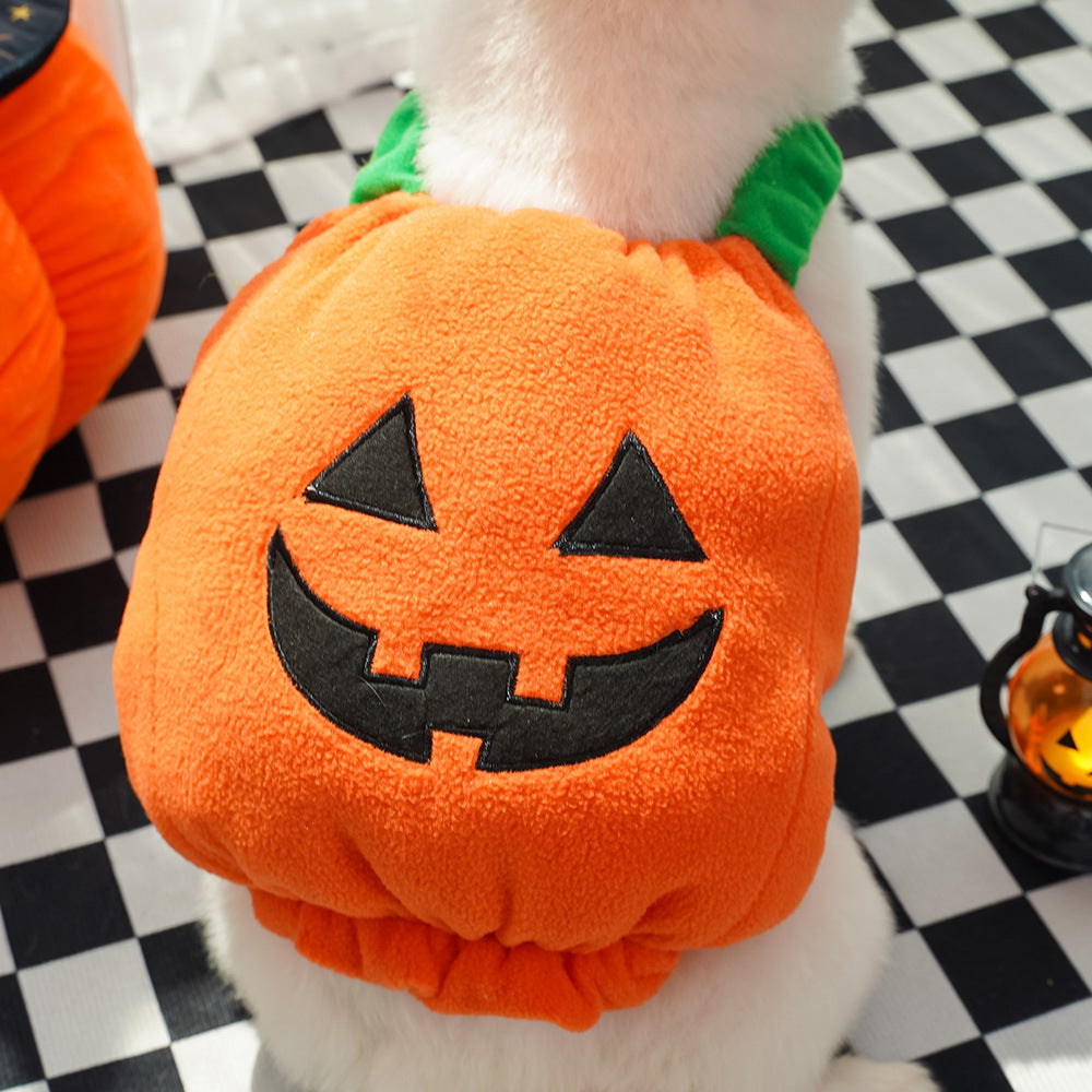 Paw Velour pumpkin pet costume, packaging