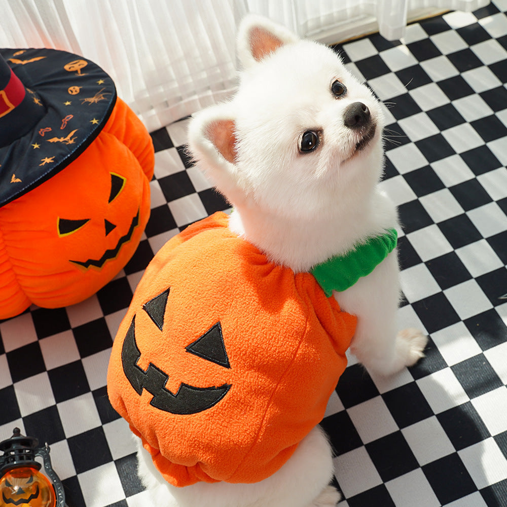 Paw Velour pumpkin pet costume, side view