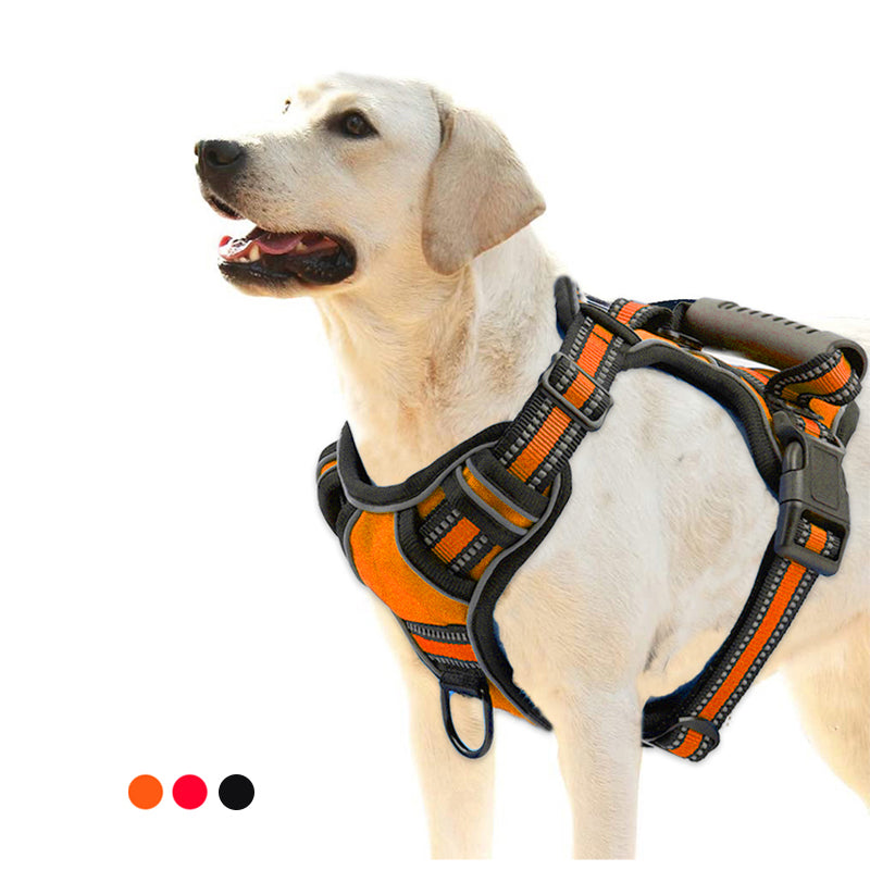 Paw Velour no-pull reflective dog harness