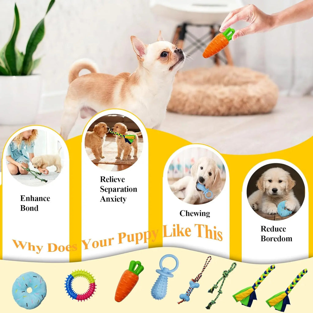 Interactive Puppy Play Gym with 8 Hanging Toys - Enrichment Activity Center for Small Dogs, Indoor PVC Frame, Adjustable Height, Includes Squeaky and Chew Toys
