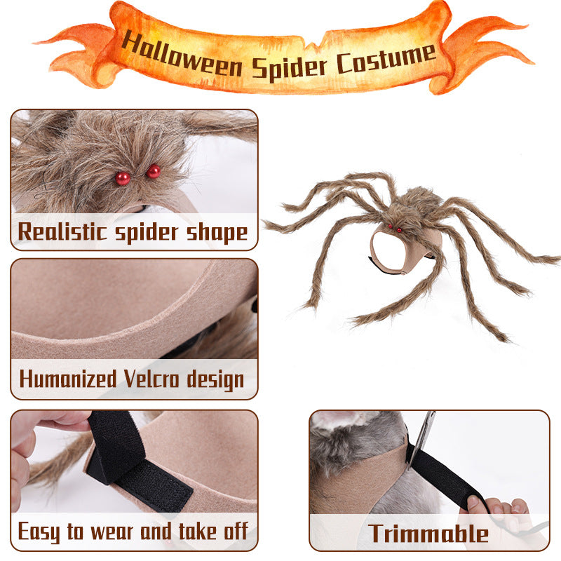 Paw Velour spooky spider pet costume in brown