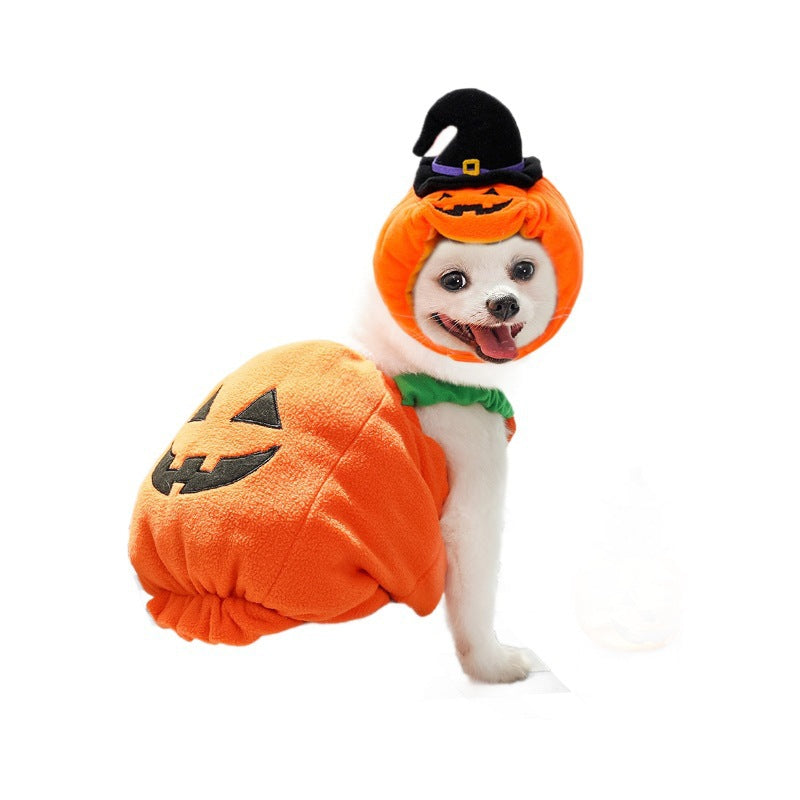 Paw Velour pumpkin pet costume, another angle