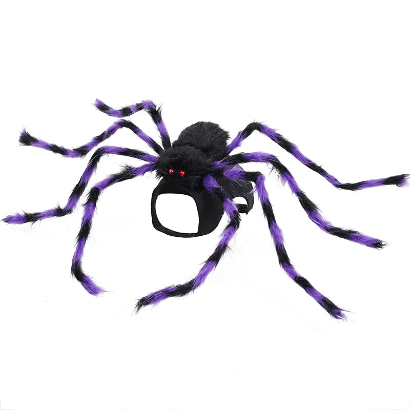 Paw Velour spooky spider pet costume on a dog