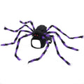 Paw Velour spooky spider pet costume on a dog
